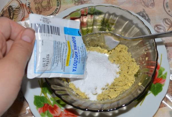 Как бороться с тараканами народными средствами