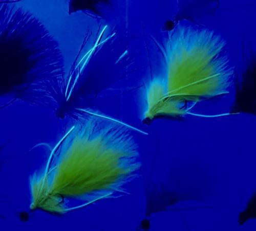 Секреты ловли жереха на искусственную мушку