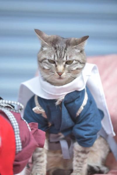 Отличный косплей в эти выходные в Осаке Отличный косплей в эти выходные в Осаке