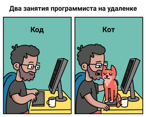 
											
							Кто такой айтишник и чем он занимается &mdash; простыми словами						
									