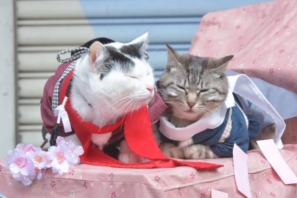 Отличный косплей в эти выходные в Осаке Отличный косплей в эти выходные в Осаке