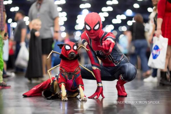 Лучший Косплей от Comicpalooza 2018