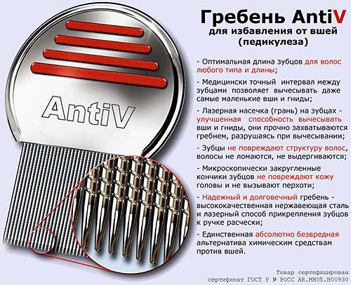Могут ли вши появляться на нервной почве?