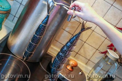 Скумбрия горячего копчения (в домашних условиях)
