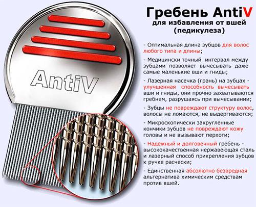 Откуда у человека берутся вши и как от них лечиться Откуда у человека берутся вши и как от них лечиться