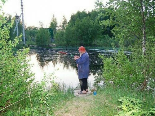 Задумчивые ивы на чистых прудах