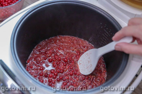 Свиная отбивная с соусом из красной смородины в мультиварке