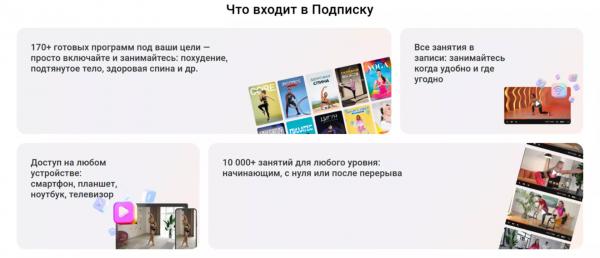 Знакомьтесь, Еживика: ваша верная напарница платформе на Живи!
