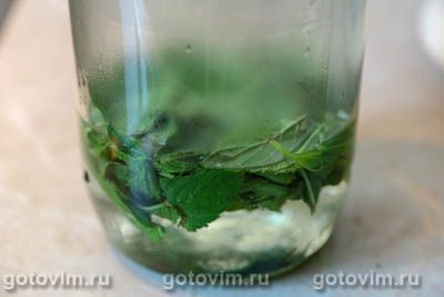 Мятный лимонад с яблоками Мятный лимонад с яблоками
