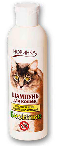Выбираем шампунь от блох для кошки и котенка Выбираем шампунь от блох для кошки и котенка